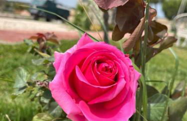 Masseria Causio - Foto 12