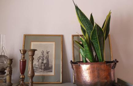 Agnantia Bed & Breakfast - Foto 29