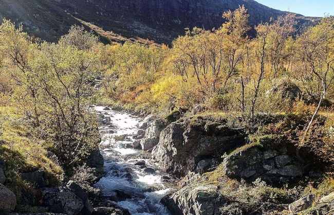 4 Person Holiday Home in Hemsedal - Foto 17