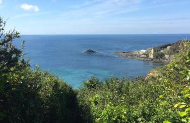 White Willows - Photo 18