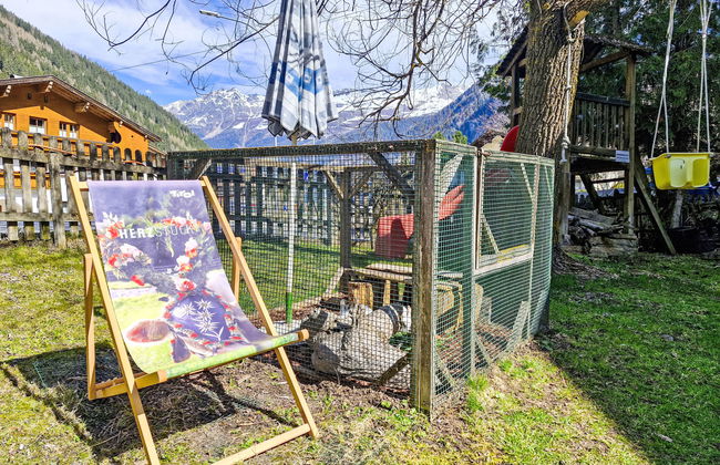 Haflingerhof Enzian - Foto 20