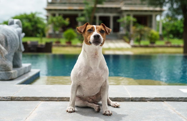 Amã Stays & Trails Abhay Manor, Kaali Toonk - Foto 24