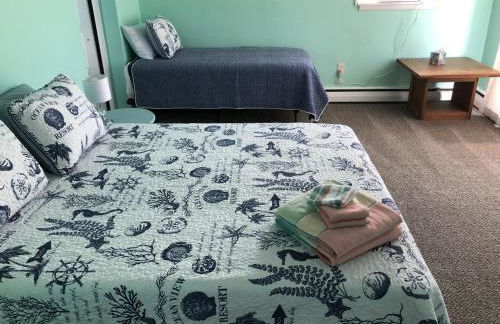 Beach Front on the Bay in our Rustic, Pet Friendly Cottage home - Photo 49