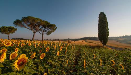Villa Cozzano - Foto 5