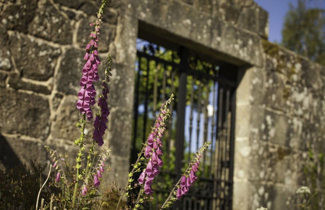 Casa de Turismo Rural Os Petroglifos - Foto 52