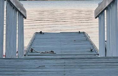 Palms in Paradise 2 Docks & Steps into Lake Murray - Foto 8