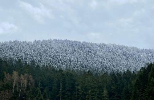 Appartement Chalet à 1400m - Station du Mourtis - Foto 29