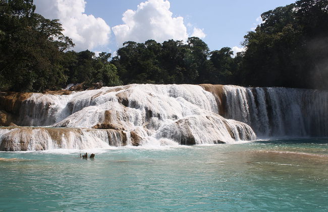 Agua Azul, Misol-Há und die archäologische Zone von Palenque - Auf Spanisch - Foto 1