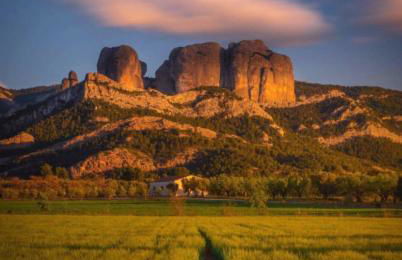 El Racó de les Grases - Foto 9