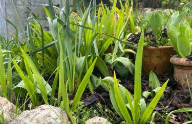 The Painter’s Retreat - Photo 20