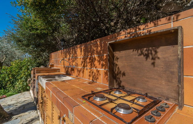 Es Coll D en Pastor in Fornalutx - Photo 25