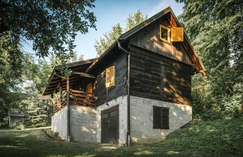 WOODEN HOUSE near the River Kupa - Foto 10