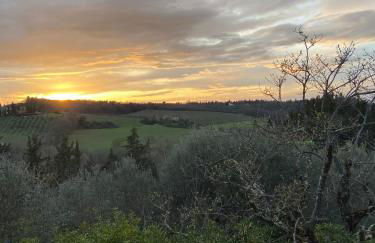 Chianti Holidays, Il Poggetto da Alfina - Foto 43