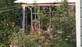 Cozy apartment in the Vinetastadt Barth - Photo 3