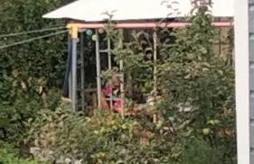 Cozy apartment in the Vinetastadt Barth - Photo 3