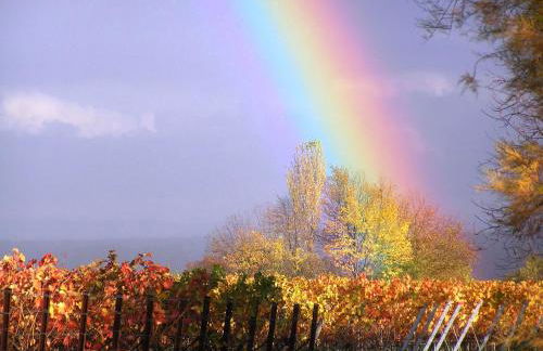 Ferienwohnung in ruhigem Viertel - Foto 20
