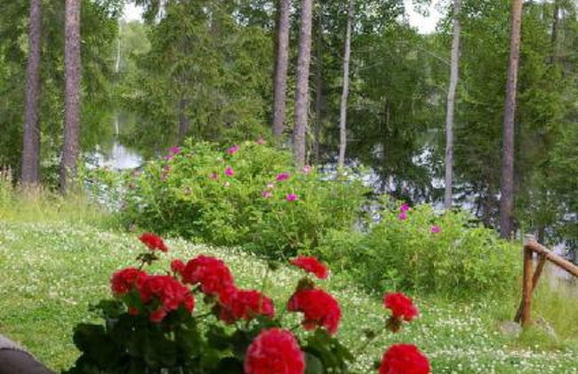 Kettupirtti - Foto 8