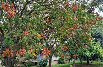 Laura Exclusive, dizajnerski uređen stan, izvrsno opremljen, self check-in - Foto 55