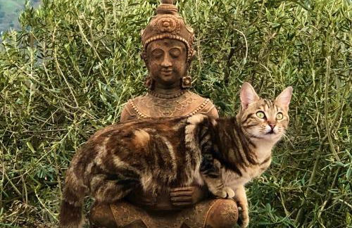 Casa Ganesha - Foto 21