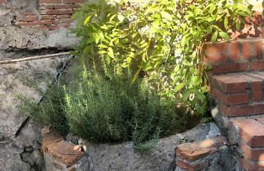 Palazzetto di Castelmaggiore - Foto 26