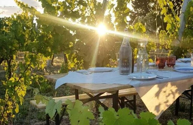 Glamping at an Agriturismo in the Vineyard - Foto 22