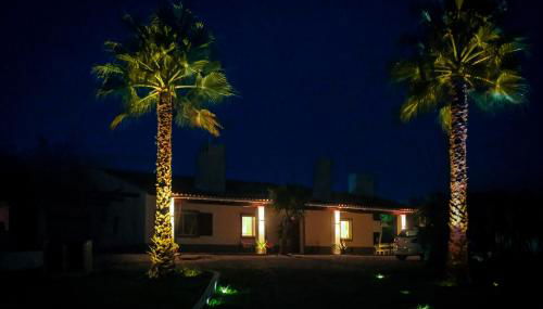 Luxe villa for 8 - Private Pool -AC -BBQ Area - Patio - 160Mbps - Olives - Palm - vineyard - Foto 3, Garden view