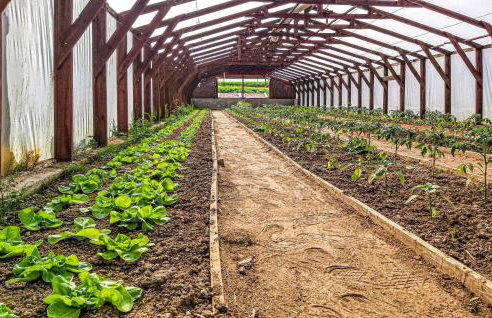 1 Bedroom Beautiful Home In Gubin - Foto 25