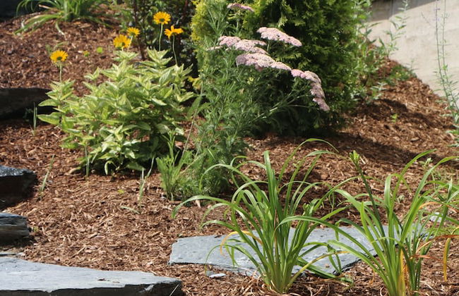 Lakeshore Vermont - Foto 70