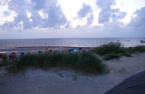 Sperlingslust - Photo 15