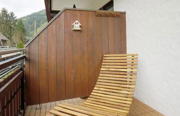 Gummeneck - Stubenhof, Black Forest - Foto 13