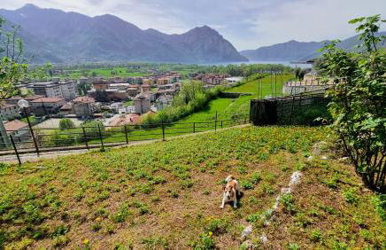 Casa Betty - Photo 33