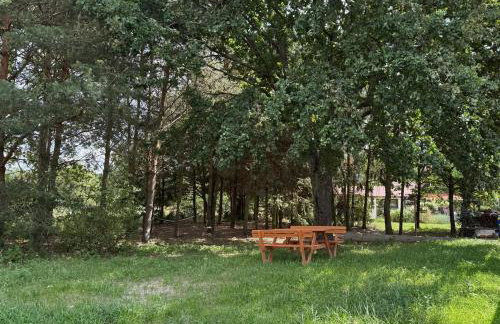 Apartamenty i Winnica - Siedlisko Na Polanie - Foto 21