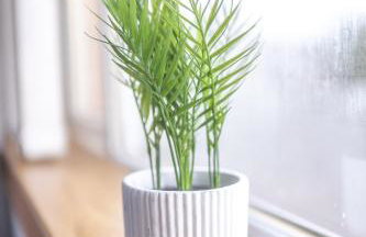 Muirhead House - Foto 10