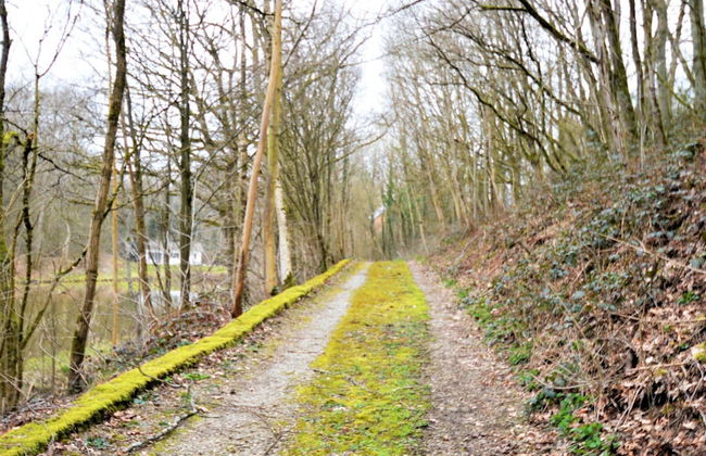 Nature Retreat by the Lakes - Foto 24