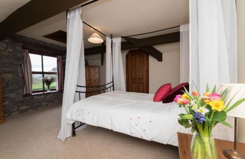 Conwy Valley Cottages - Foto 74