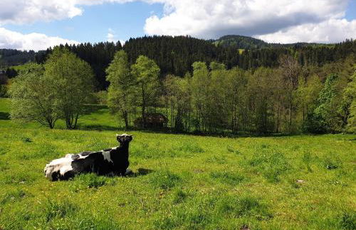 Haus Feldbergblick, Apartment "Valentine", Lenzkirch, Hochschwarzwaldkarte - Foto 23