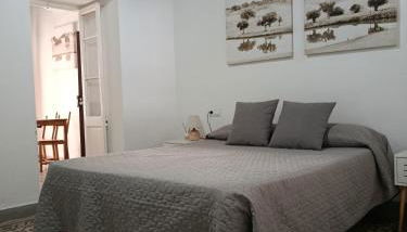 Apartamentos Casa Vicario - Foto 3