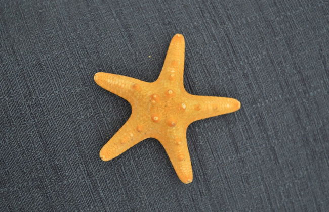 Appartamenti Oltremare - Foto 17