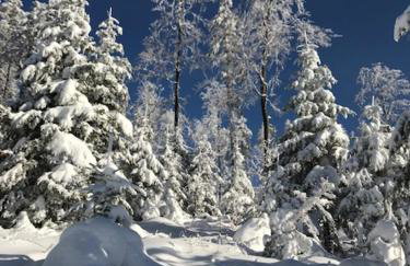 Apartamenty Lunita Blue BB - Foto 21