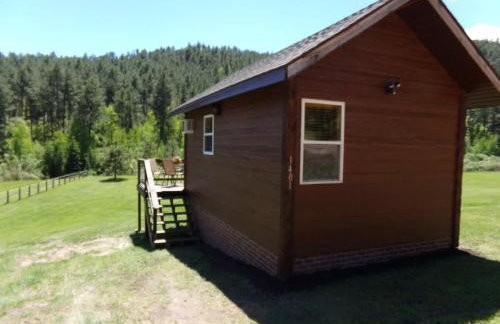 The Little Pine - Foto 5