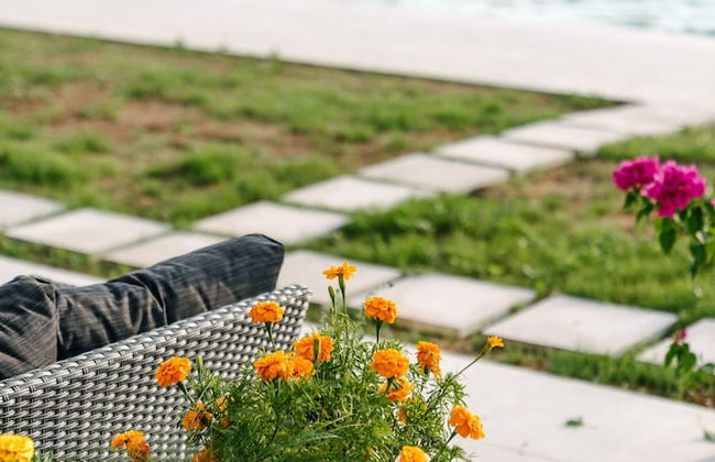 Irissa Suites - Photo 8