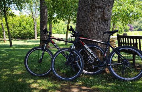 Fattoria Agriturismo Nerbona - Photo 23