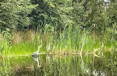 Spacious 2 Bedroom Home in Picturesque Cullen - Foto 41