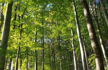 APARTAMENTY SZYNDZIELNIA RODZINNE - 2 SYPIALNIE & BALKON & GÓRY & Parking - TWOJA BAZA WYPADOWA NA SZLAKI i W GÓRY - FAMILY SPACE & BASE - Foto 61