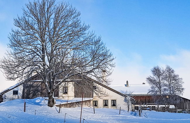 Les Grangettes - Photo 26