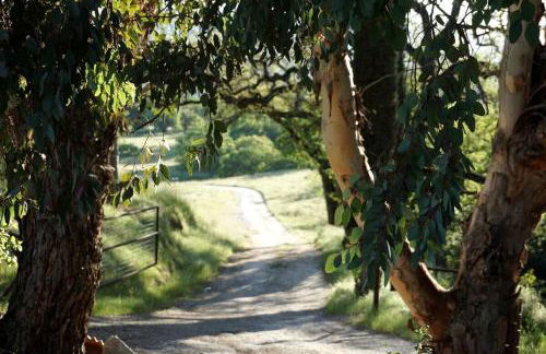 Rustic Cottage Rental with a Hot Tub Perfect for Luxury Camping in Santa Margarita - Foto 29