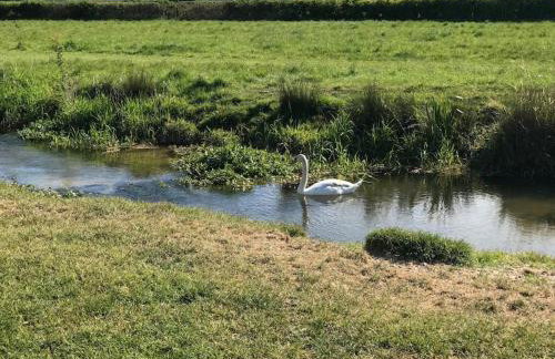 Thames Cottage, Old Mill Farm, Cotswold Water Park - Foto 24