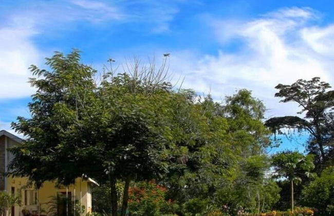 Bushbaby Lodge - Photo 15