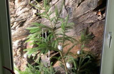 Ferienwohnung Rotbuche - Foto 19