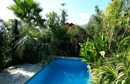 Villa Tropica, total privacy, tropical garden and private pool - Photo 16